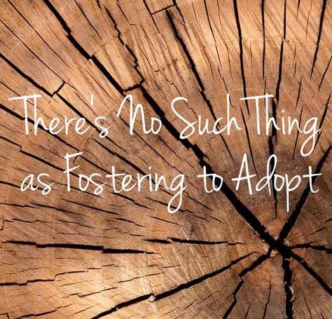 There’s No Such Thing as Fostering to Adopt – sherocksthecradle Foster To Adopt Quotes, Foster Parent Shower Ideas, Foster Mom Quotes, Foster Parent Quotes, Parent Appreciation, Foster Care Quotes, Entrepreneur Website, Fertility Boosters, Becoming A Foster Parent