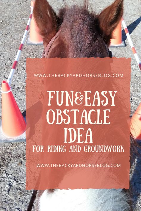 Obstacles For Horses Ideas, Horse Groundwork Exercises, Obstacle Course For Horses, Horse Obstacle Course Ideas Diy, Working Equitation Obstacles, Diy Horse Obstacles, Trail Horse Obstacles, Horse Obstacle Course Ideas, Horse Obstacle Course