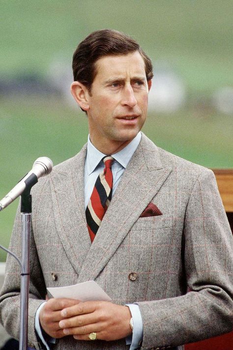 image Royal Family Portrait, Prins William, Prins Harry, Prince Charles And Camilla, Royal Family England, Retro Men, Men’s Suits, British Monarchy, Buckingham Palace