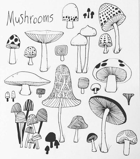 Drawing Ideas Easy Doodles, Poisonous Mushrooms, Drawing Ideas Easy, Mushroom Drawing, Easy Doodles, Arte Sketchbook, Mushroom Art, Doodle Art Designs, Flower Doodles