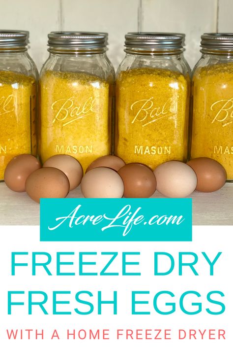 Freez Dryer, Freeze Drier, Freeze Eggs, Freeze Dried Food Storage, Light Dinners, Harvest Right Freeze Dryer, Best Freeze Dried Food, Big Freeze, Survival Foods