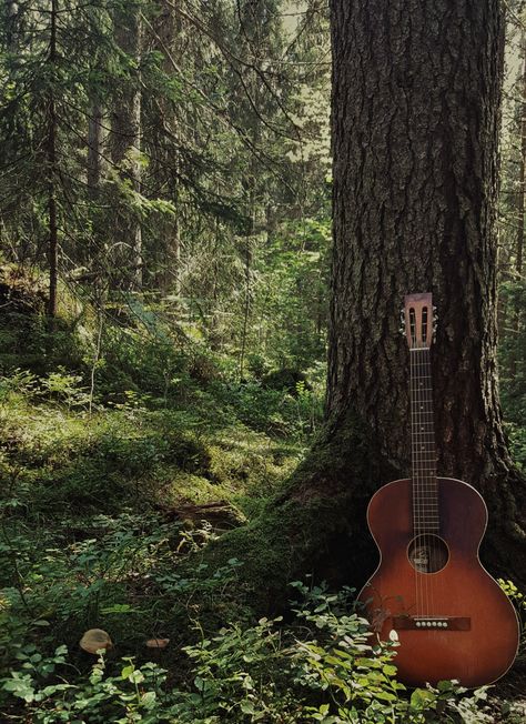 Guitar in the forest. Fotograf Forest Album Cover, Playing Guitar In Nature, Nathan Core, Indie Music Aesthetic, Indie Folk Music, Guitar Images, Rock Aesthetic, Hippie Aesthetic, Folk Rock