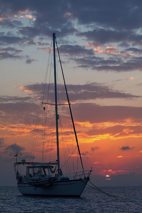 Boat Life Aesthetic, Sailboat Aesthetic, Sailing Terms, Sailboat Photography, Sailboat Sunset, Sunset Sailboat, Dalmatian Coast, Sailboat Painting, Sailing Trips