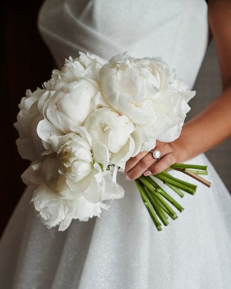 Blush Emerald White Wedding, Fancy Elopement, White Peony Bouquet Wedding, Classic Bridal Bouquet, White Peony Bouquet, White Hydrangea Bouquet, Bride Bouquets White, Luxury Wedding Flowers, Classic Wedding Bouquet