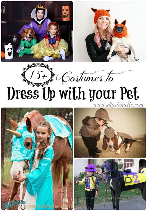 15+ Costumes to Dress Up with Your Pet this Halloween Dog And Owner Costumes, Best Dog Halloween Costumes, Costumes For Dogs, Horse Halloween Costumes, Paw Patrol Costume, Pet Diy, Pet Parade, Fairy Halloween Costumes, Horse Costumes