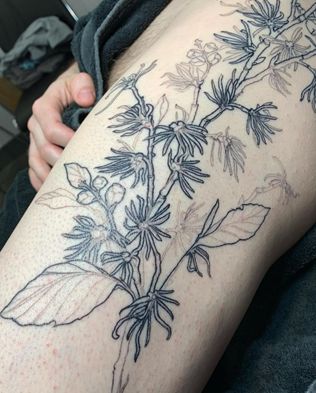 Hazel Tattoo, Witch Hazel Tattoo, Witch Hazel Plant, Witch Hazel, Plant Tattoo, Jack And Sally, Forearm Tattoo, Body Art, Tatting