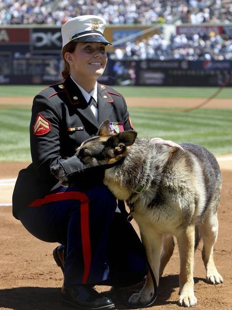 Real-life Megan Leavey 'happy' with depiction of bond with Sgt. Rex Megan Leavey, Once A Marine, Dog Hero, Military Working Dogs, Military Dogs, Police Dogs, Military Heroes, Service Animal, Military Men