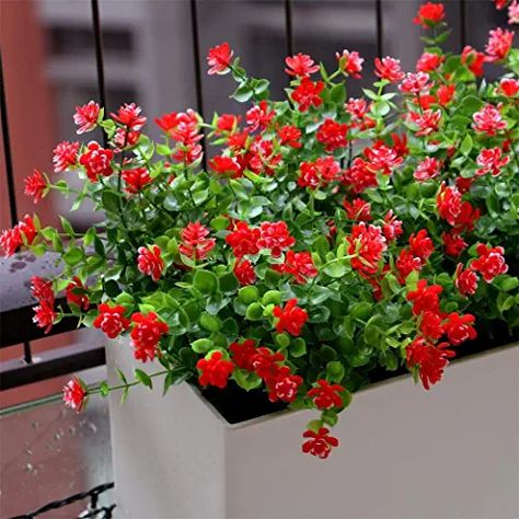 Porch Window, Patio Wedding, Front Doors With Windows, Home Garden Plants, Faux Greenery, Christmas Cookies Decorated, Red Kitchen, Balcony Decor, Window Box