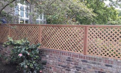 D 38 Iroko Trellis - top of wall fitting Brick Wall Gardens, Privacy Trellis, Garden Trellis Fence, Stone Walls Garden, Decorative Trellis, Privacy Fencing, Wall Trellis, Trellis Fence, Garden Fence Panels