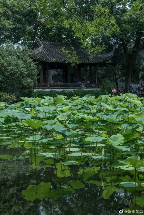 Chinese Countryside, Crimson Flower, Countryside Aesthetic, Japanese Countryside, House Lake, Painting References, Chinese Aesthetic, Chinese Garden, Green Dragon