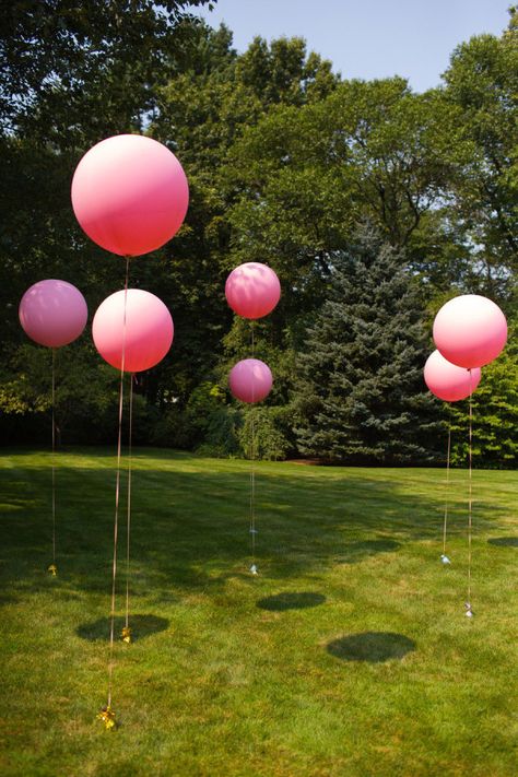 Pink Color Balloon Decoration, Balloon Yard Decorations, Balloon Decorations Outdoor, Yard Balloon Decorations, Park Baby Shower Ideas Outdoor, Park Party Decorations, Terrarium Party, Backyard Kids Party, Lawn Party Decorations