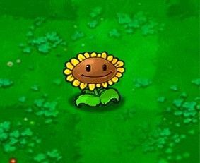 Pvz Pfp, Pvz Sunflower, Express Emotions, The Language Of Flowers, Plantas Vs Zombies, Plants Vs Zombies, Language Of Flowers, Bioshock, Exotic Flowers