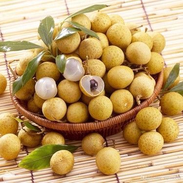 is longan good for weight loss,
longan fruit disadvantages,
is longan good for acid reflux,
benefits of longan for pregnancy,
longan benefits for skin,
longan fruit benefits side effects,
is longan good for diabetics Longan Fruit, Cilantro Seeds, Orchid Seeds, Chocolate Tree, Dragon Eyes, Bonsai Seeds, Kinds Of Fruits, Aromatic Plant, Flower Pot Garden