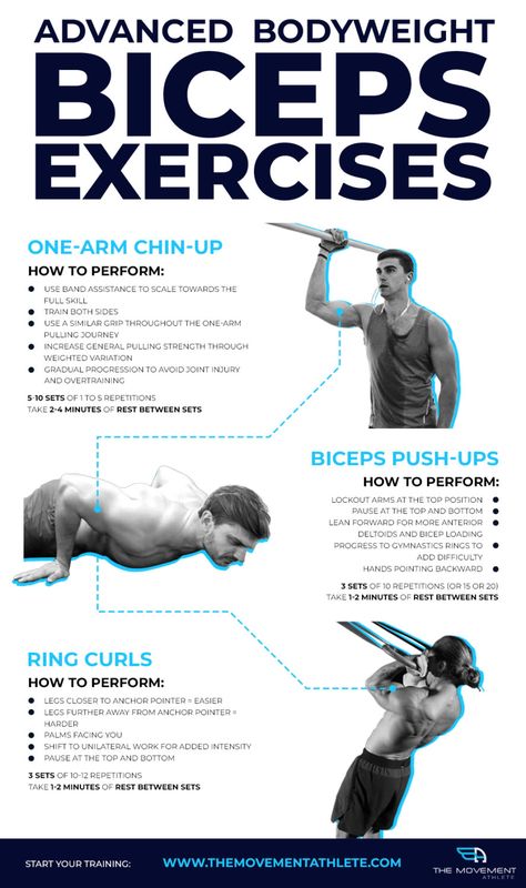 Bicep Calisthenics, Basic Calisthenics, Total Body Workout Plan, Calisthenics Exercises, Dumbbell Bicep Curl, Workout Calisthenics, Calisthenics Workout Plan, Bicep Workout, Bicep Muscle