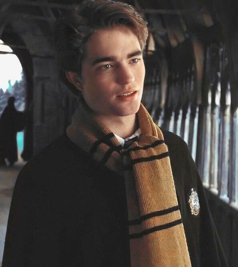 Cedric Diggory Aesthetic, Hufflepuff Aesthetic, Harry Potter Icons, The Goblet Of Fire, Images Harry Potter, Cedric Diggory, Goblet Of Fire, Harry Potter Cast, Harry Potter Wallpaper