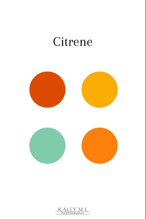 Mint Green Orange Color Pallets, Mint And Orange Color Palette, Mint Orange Color Palette, Restaurant Color Palette, Mint Green Color Palette, Mint Color Palette, Mint Green And Orange, Mint Color Schemes, Wes Anderson Color Palette