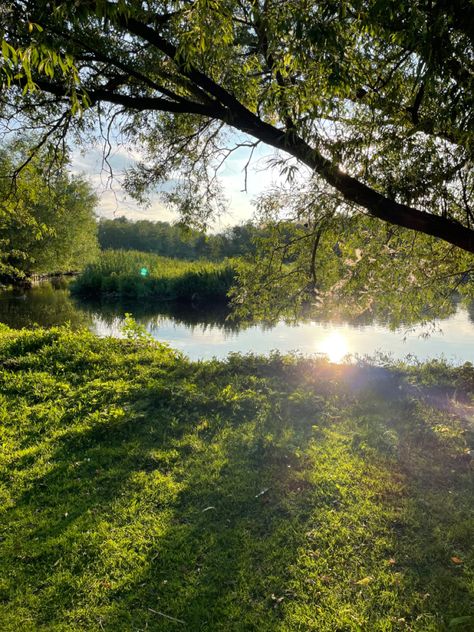 #lake #green #sunny #park #ducks #aesthetic Sunny Park Aesthetic, Ducks Aesthetic, Sibling Photo Shoots, Vision Board Pics, Grass Background, Grass Valley, Park Pictures, Park Photography, Sunny Afternoon