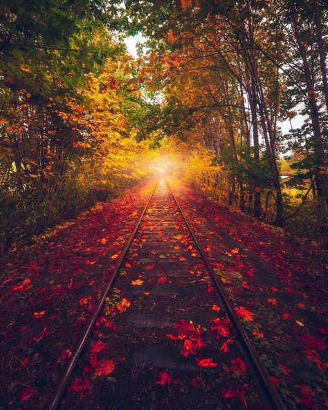 Best Pictures Gallery on Instagram: “🔹Picture by: @calibreus 💫 . 🏆Congratulations🏆 . 📌Official Tag: #bestpicturesgallery . ✅ Only your pictures 📸✅ . 🚫No stolen pictures🚫…” Fall Scenery, Earth Photography, Best Travel Insurance, Clay Patterns, Columbia Road, Best Travel Credit Cards, Canada Photos, Eastern Canada, Canada Destinations