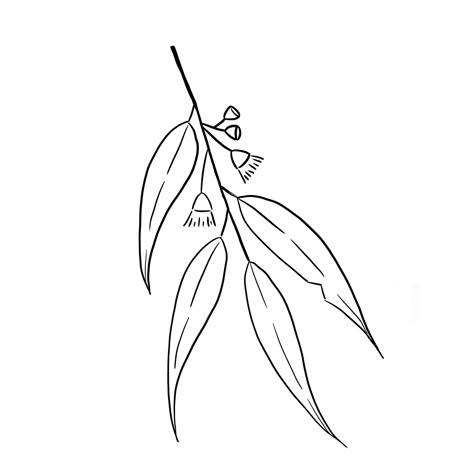 Gum Leaf Drawing, Gum Leaves Drawing, Gumleaf Tattoo, Banksia Tattoo Fine Line, Gum Leaves Tattoo, Gum Nut Tattoo, Eucalyptus Leaves Tattoo, Gum Leaf Tattoo, Gum Tree Tattoo