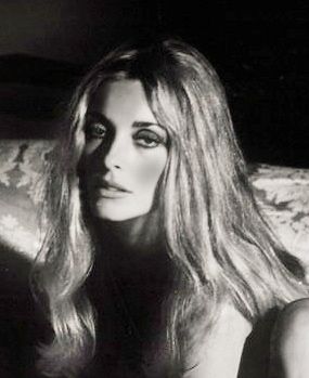 Sharon - 1968 Sharon Tate Fashion, The Wrecking Crew, Old Beauty, French Icons, Tate Gallery, Roman Polanski, Sharon Tate, New Sweater, Hollywood Actress