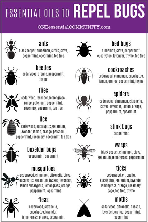 Essential Oils For Stink Bugs, Anti Spider Spray, Diy Peppermint Oil Bug Spray, Organic Bug Spray For Vegetable Garden, Bug In Prepping, Bug Repellent Diy, Homemade Bug Spray Recipe, Essential Oil Bug Spray, Homemade Bug Spray