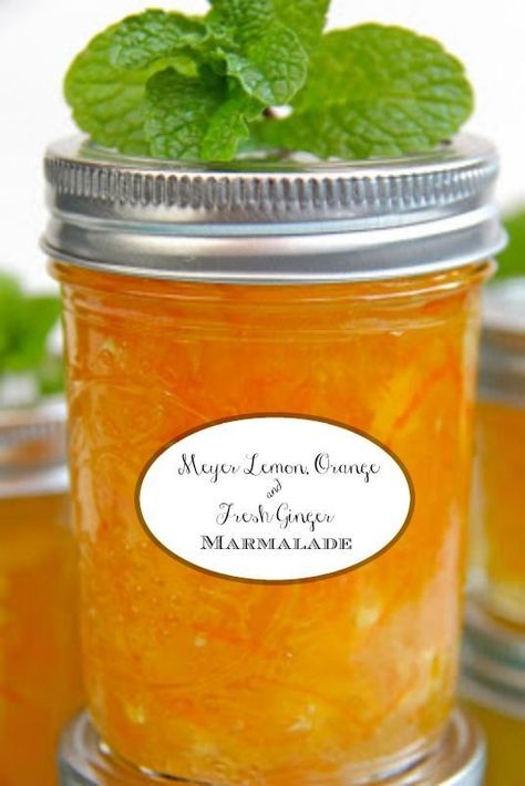 Meyer Lemon, Orange and Fresh Ginger Marmalade - if you think you don't like marmalade, think again. This one has no bitterness and there's no canning knowledge needed. It's super simple and crazy delicious! Ginger Marmalade, Canning Jams, Marmalade Recipe, Canning Jam, Orange Marmalade, Jam And Jelly, Jelly Recipes, Eating Tips, Vegetable Drinks