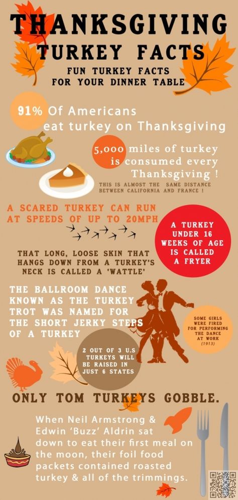 #Create the Perfect Meal with These Thanksgiving Dinner Infographics ... Thanksgiving Infographic, Thanksgiving Fun Facts, Turkey Facts, Facts Infographic, Dinner Planner, Thanksgiving Facts, Medium Readings, Holiday Magazine, Thanksgiving Travel