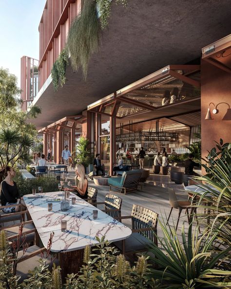 Suburban Office, Outdoor Meeting Space, Roof Plants, John Wardle, Terrace Floor, Retail Facade, Retail Architecture, Commercial Street, Interior Architect