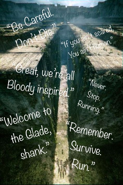 Newt Quotes Maze Runner, Maze Runner Quotes Wallpaper, Newt Maze Runner Quotes, Tmr Quotes, Newts Letter, Newt Quotes, The Maze Runner Quotes, Maze Runner Quotes, Book Fandoms Unite