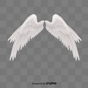 angel,angel wings,spreading wings,white,feather,wing,soaring,texture,flight,angel clipart Wings Background, Angel Wings Background, Feather Png, Cartoon Wings, Angel Wings Png, Angel Wings Drawing, Angel Clipart, Feather Background, Wings Png