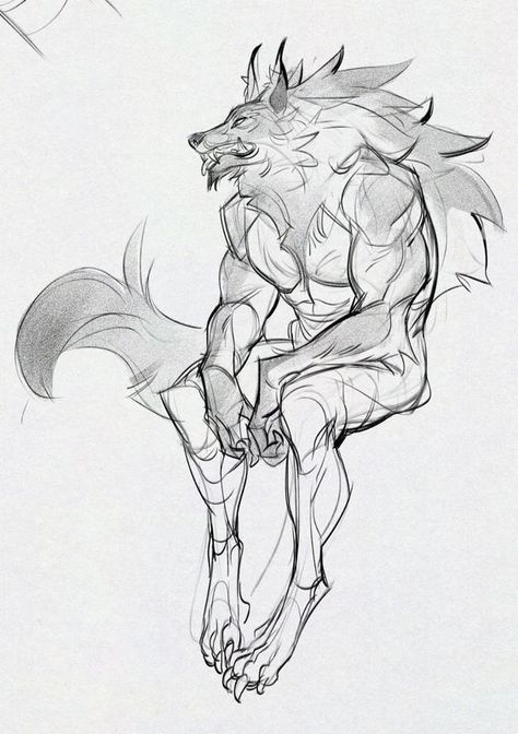 Werewolf Study, Kimono Reference, Female Werewolf, Werewolf Drawing, Werewolf Art, Canine Art, Creature Drawings, Monster Design, Creature Concept Art