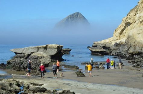 Tide pools dot the wild Oregon coast, but here are 12 surefire places for some intertidal action. Oregon Coast Hikes, Newport Oregon, Visit Oregon, Travel Oregon, Oregon Life, Southern Oregon Coast, Explore Oregon, Oregon Vacation, Oregon Beaches