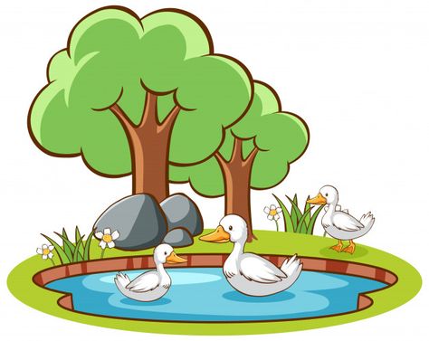 Ducks In Pond, Pond Illustration, Pond Drawing, Happy Holi Picture, Nature Character, Duck In Water, Holi Pictures, Duck Cartoon, Duck Pond