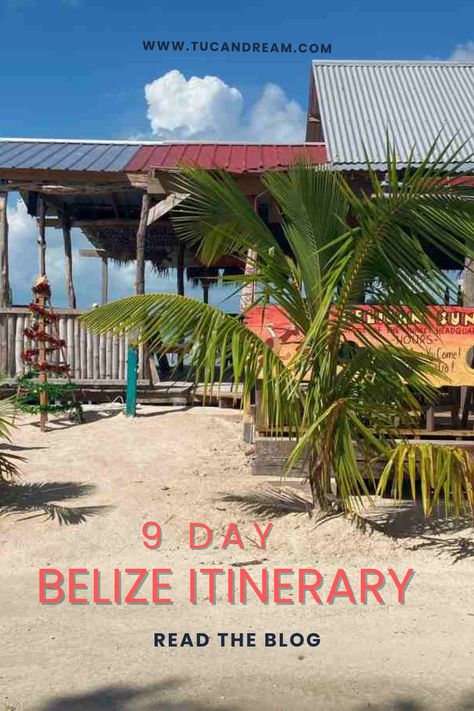 Are you seeking some R&R? I have just the place for you! Caye Caulker in Belize with a slogan of "Go Slow" is just the place to visit.  Sunshine, sea, friendly people, good food and drinks, what more could you want? Belize Itinerary, Caye Caulker Belize, Belize Vacation, Belize Vacations, Caye Caulker, Belize City, Green Tips, Place To Visit, Round Trip