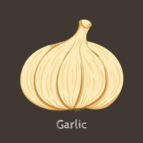 Garlic Plant, Background Simple, Colored Background, Cooking Ingredients, Cartoon Art Styles, Cartoon Art, Art Style, Vector Art, Dark Brown