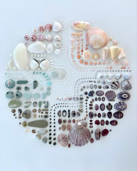 geometric abstract natural seashell collage.  seashells and pebbles from Panama, mostly Pacific and some carribean Diy With Shells, Themed Bedroom Ideas, Mix Media Art, Seashell Display, Seashell Art Diy, Shell Display, Beach Themed Bedroom, Art Coquillage, Seashell Wall Art