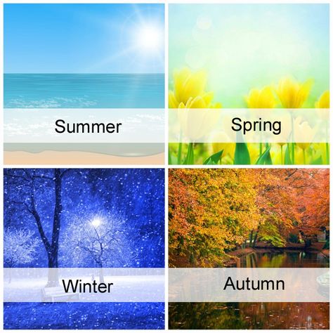 4 Weather Season, 4 Seasons Landscape, Colorbreeze System, Pantone Illustration, 4 Seasons Art, Teaching Vocabulary, American Landscape, Games Design, Colors And Emotions