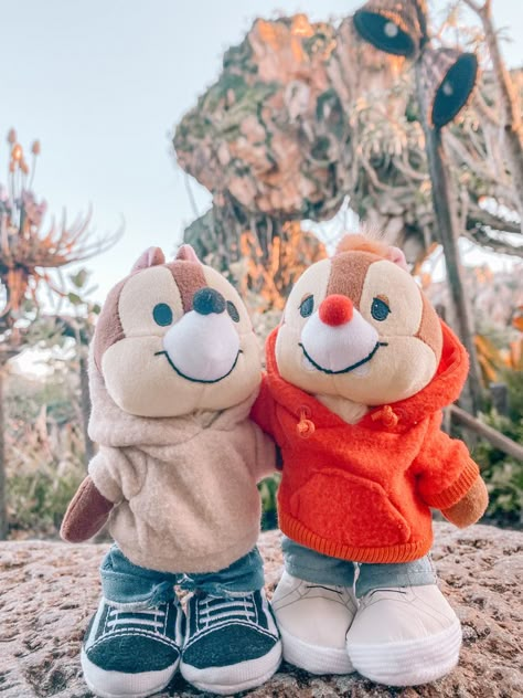 Chip And Dale Disney Outfit, Disney Plushies Aesthetic, Disney Therapy, Nuimos Disney, Disneyworld Aesthetic, Disney Nuimos, Disney Outfits Women, Disney Cuties, Disney Photo Ideas