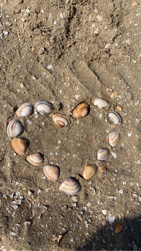 Shells Beach Aesthetic, Beach Sea Shells Aesthetic, Beach Shells Aesthetic, Beach Core Aesthetic, Sea Shell Aesthetic, Shells On Beach, Heart Bones, Shells Beach, Beach Shells