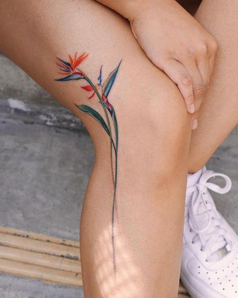 Bird of Paradise Tattoo: Embodying Exotic Beauty and Freedom | Art and Design Bord Of Paradise Tattoo, Bird Of Paradise Back Tattoo, Ti Leaf Lei Tattoo, Birds Of Paradise Flower Tattoo, Paradise Bird Tattoo, Bird Of Paradise Plant Tattoo, Tropical Plants Tattoo, Birds Of Paradise Plant Tattoo, Tattoo Bird Of Paradise