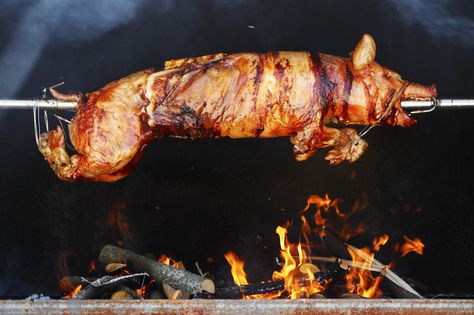 Five Tips For How To Cook An Animal (Whole) Pig Roast Party, Bbq Pitmasters, Spit Roast, Smoker Cooking, Chicken And Biscuits, Pig Roast, Fruit Arrangements, Edible Arrangements, Grilling Tips