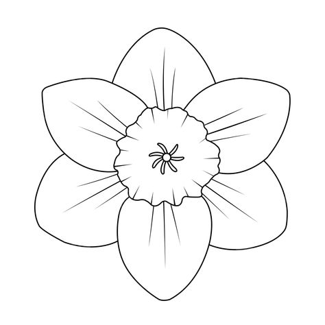 Daffodil Outline Drawing, Dafodill Flowers Drawing, Daffodil Outline, Dafodill Flowers Tattoo, Daffodils Drawing, Daffodil Clipart, Petals Drawing, Daffodil Drawing, Mind Map Design