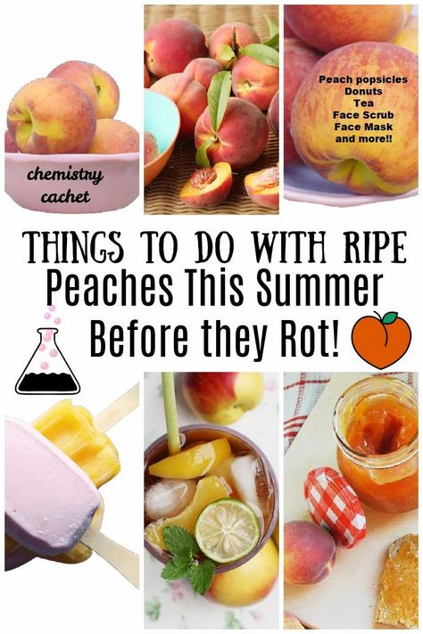 Do you have peaches that are starting to rot and turn to mush? Check out this interesting, unique things to do with ripe or over ripe peaches! Everything from donuts to face scrub What To Make With Ripe Peaches, What To Do With Over Ripe Peaches, Things To Do With Fresh Peaches, What To Do With Extra Peaches, What To Do With Bulk Peaches, What To Do With Excess Peaches, Old Peaches What To Do With, Donut Peach Recipes, What To Do With Peaches Going Bad