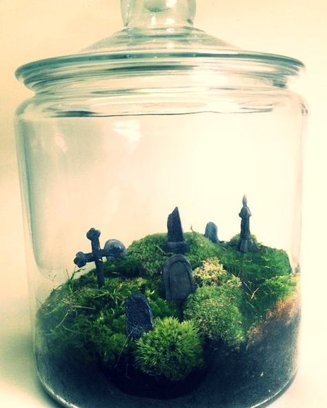 We love this spooky graveyard terrarium! Do you have any crafty air plant Halloween decorations planned? Share 'em if you've got 'em! Cemetery Terrarium, Graveyard Terrarium, Miniature Terrarium, Halloween Graveyard, Halloween Garden, Terrarium Diy, Theme Halloween, Cactus Y Suculentas, Creepy Halloween