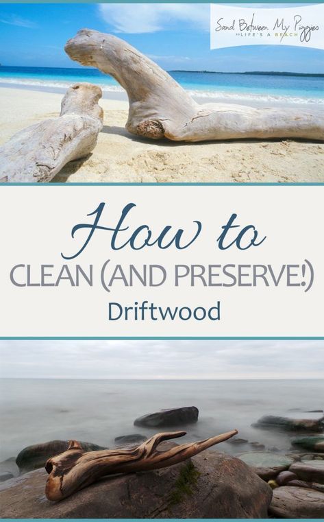 Preserve Driftwood, Driftwood Furniture, Driftwood Diy, Cleaning Painted Walls, Driftwood Projects, How Do You Clean, Glass Cooktop, Driftwood Decor, Driftwood Crafts