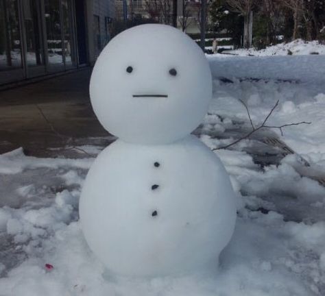 Heavy Snowfall, Funny Snowman, Swag Pics, Snow Fun, Winter Photos, Good Buddy, Snowy Day, All Things Cute, Cute Snowman