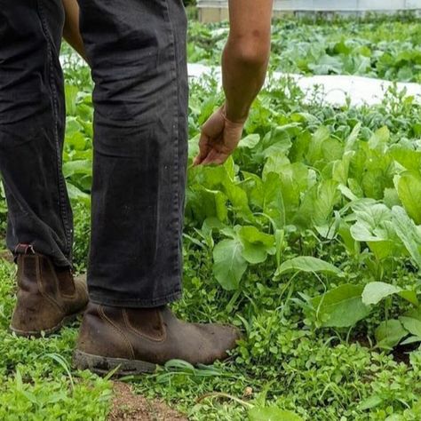 Redback Boots, Steel Cap Boots, Comfy Boots, Comfy Boot, Style Reference, Steel Toe Boots, Built To Last, Safety Boots, Walking Boots