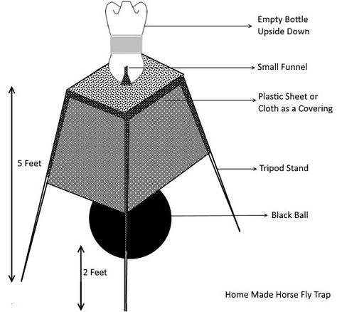 Homemade Manning Trap for Horse Flies – Pest Control & Pest Inspections Horse Fly Trap, Horsefly Trap, Diy Fly Trap, Barn Hacks, Paddock Paradise, Fly Control, Flea Prevention, Fly Trap, Horse Fly