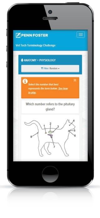 Vet Tech Prep Power Pages, Vet Tech Training Checklist, Penn Foster Vet Tech, Vet Tech Tips And Tricks, App Case Study, Vet Tech Student, Vet Tech School, Vet Tech Urinalysis, College Job