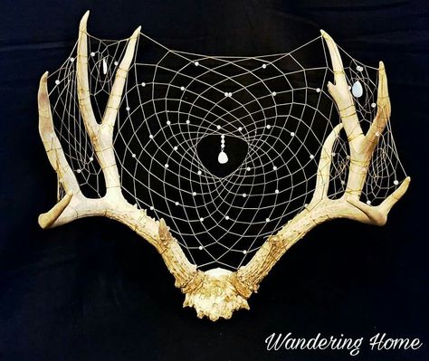 Deer Horn Dream Catcher, Projects With Deer Antlers, Deer Skull Dream Catcher, Antler Crafts Diy, Antler Dreamcatcher, Deer Antlers Diy, Deer Antler Dream Catcher, Decorated Antlers, Antler Dream Catcher